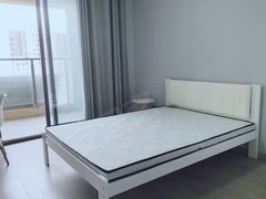 泰州泰兴泰兴市区佳源威尼斯城泰公馆 4室2厅1卫出租房源真实图片