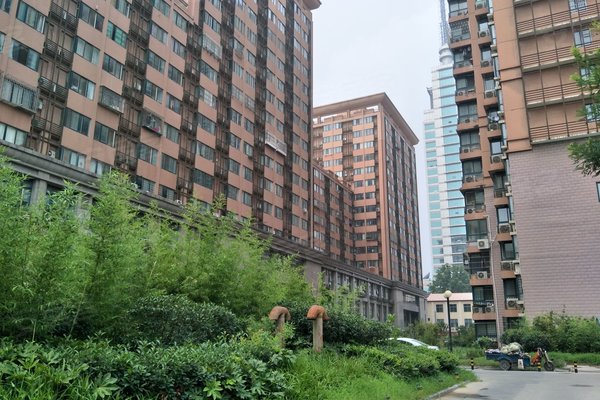 郑州小区 金水小区 文化路小区 瑞园