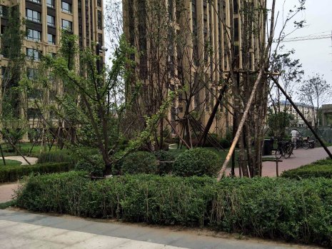 沈阳二手房 荣盛城(三期) > 赵瑶瑶解读荣盛城(三期)小区不足专家解读