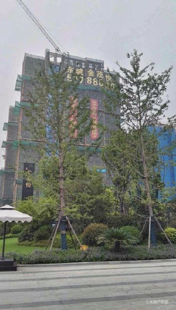 东城金茂悦一期
