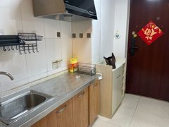 合肥瑶海铜陵路紫云府 1室1厅1卫出租房源真实图片