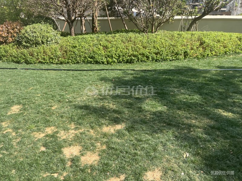 电梯房蓝光coco蜜城普装74平118万元南北通透