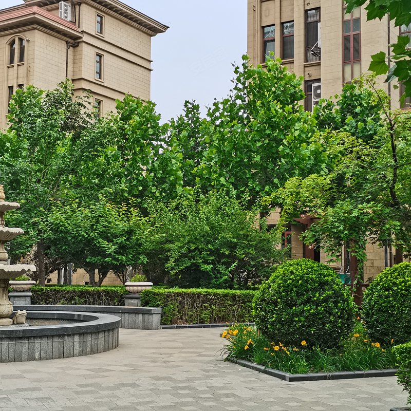 金屋秦皇半岛九区别墅