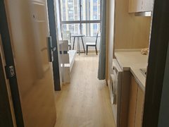 泰州海陵城南绿地世纪城(商住楼) 1室1厅1卫出租房源真实图片