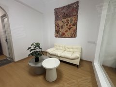 安吉递铺博瑞广场菜市场对面 独门独户 民用水电 精装修 单身公寓随时拎包入住出租房源真实图片