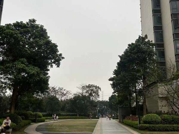 【多图】亚运城天荟,亚运城租房,亚运城天荟 3室2厅1卫 电梯房 配套