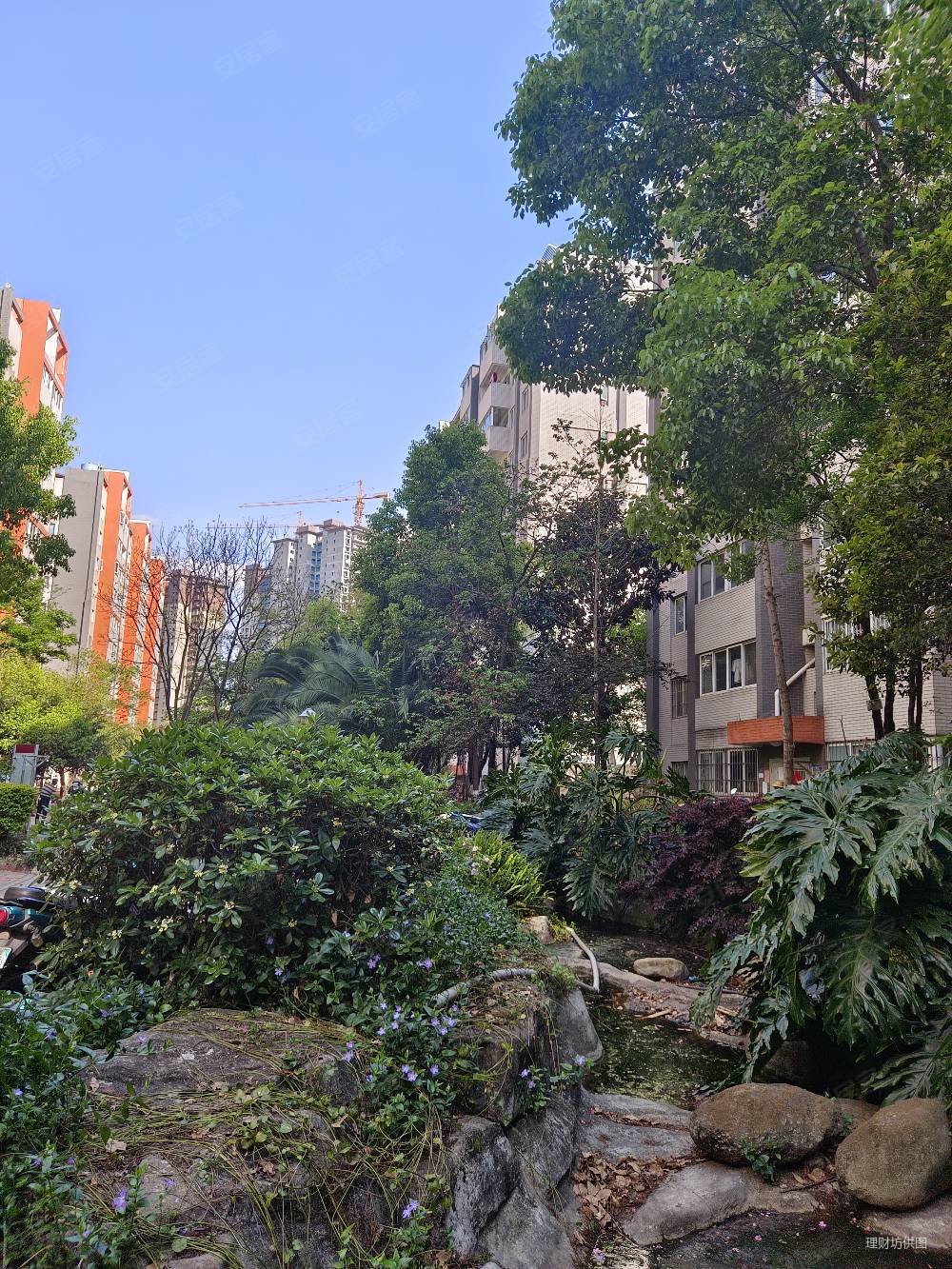 铁合金怡芳苑小区(二期)3室2厅1卫79.12㎡南北98万