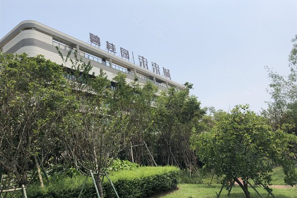 碧桂园未来城,滨海十六路,近金海大道 - 温州碧桂园未来城二手房,租房