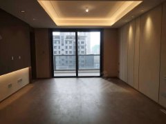 亚新海棠公馆 4室2厅3卫  电梯房 精装修164平米