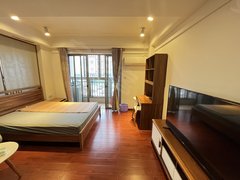 东莞道滘道滘城区钜隆碧琴湾(商住楼) 1室1厅1卫 电梯房 精装修出租房源真实图片