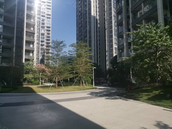 深圳宝安后亭嘉富新禧清平实验学校对面,嘉富新禧,空房三房出租!