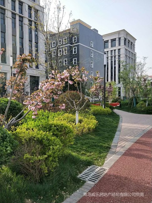 青岛房产网>青岛二手房>城阳二手房>流亭二手房>富力总部基地>488_650