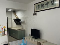 江南国际1室1厅1卫，45平米，租金850每月，半年付