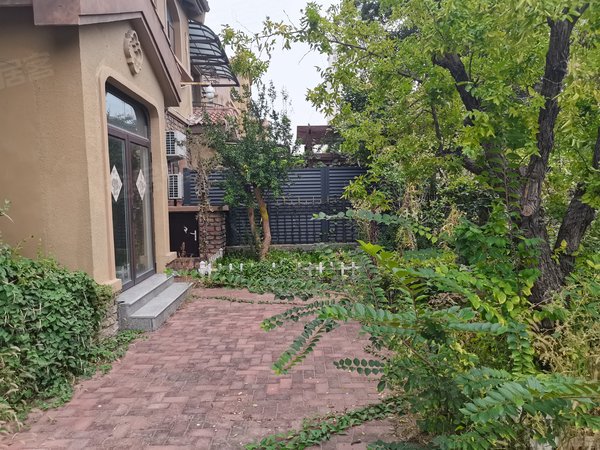 济南章丘圣井碧桂园凤凰城(西区别墅)双拼别墅,带大院子,精装修,看房