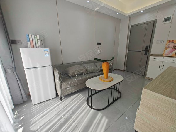 【多图】平山村,大学城租房,甄选特惠丨南山区大学城站精装一房一厅