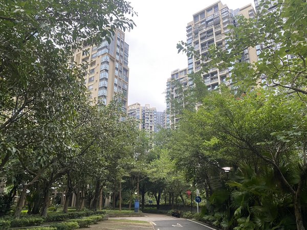 深圳龙岗大运中海康城花园新出3房1卫全齐朝南11月底入住出租房源真实