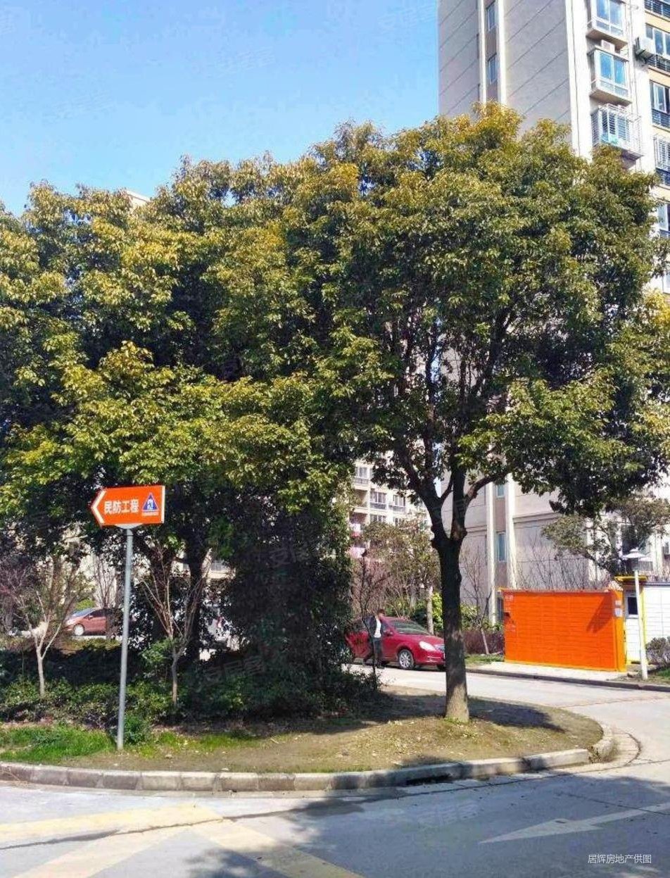 润渡佳苑二期南北户型纯毛坯有钥匙随时看房景观房