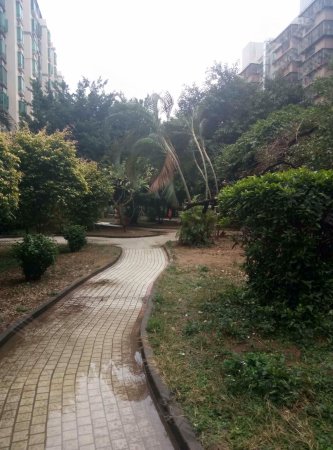 沙井后亭地铁口村委新楼盘,带天燃气精装交房,学校公园100米