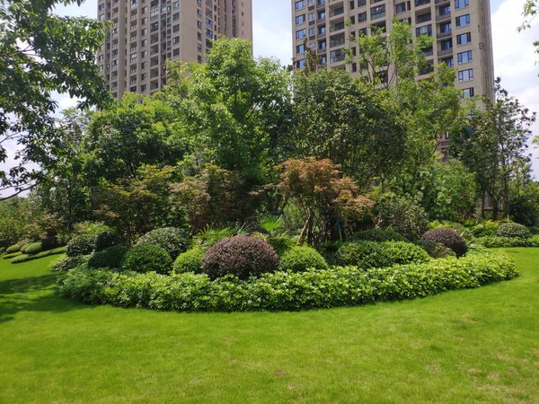 西永9号(二期三组团)