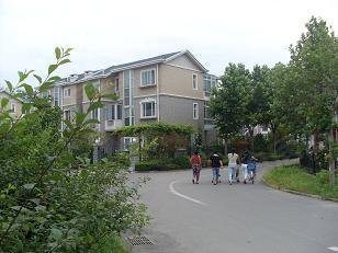 扬州水乡独栋别墅司法拍卖 法拍房 可按揭 专业