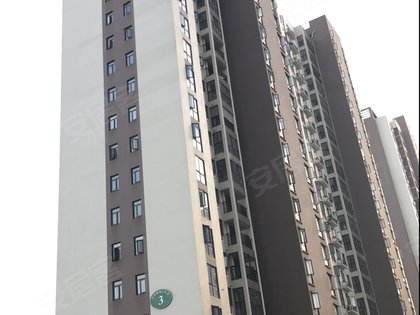 左岭社区人口_社区人口普查照片