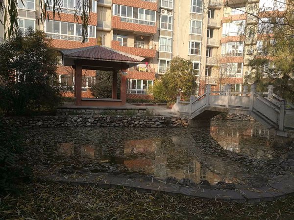 金花苑 西斜七路 西安金花苑二手房 租房 西安安居客