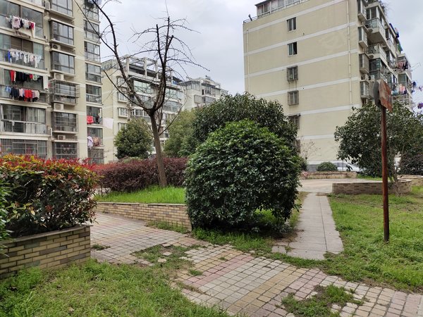 富贵园(弋江),中山南路,近利民路-芜湖富贵园(弋江)二手房,租房-芜湖