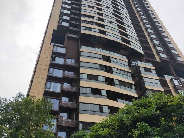 洋世达南滨特区户型图实景图片