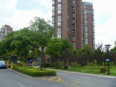 240x180.jpg?t=1