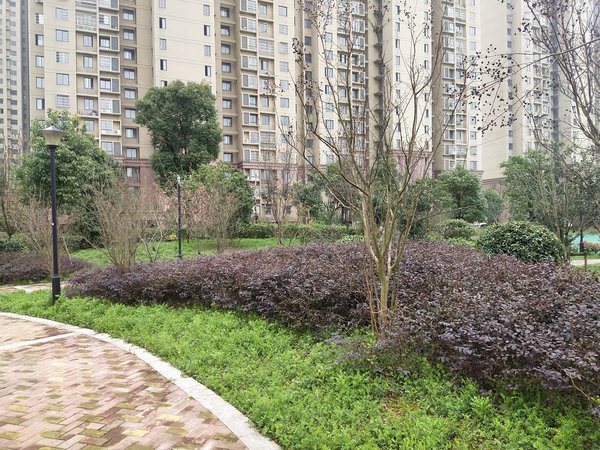 荆山花园(西区)