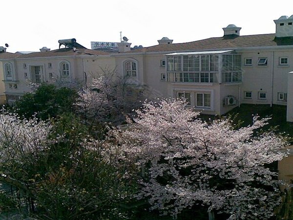 君临天下花园 别墅 银都路3399弄 上海君临天下花园 别墅 二手房 租房 上海安居客