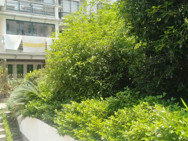 名都苑(嵊州),剡城路378号-绍兴名都苑(嵊州)二手房,租房-绍兴安居客