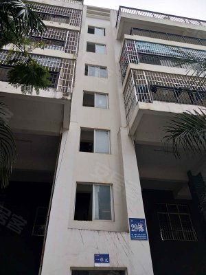 金水湾花园南区,鲁班南路-南宁金水湾花园南区二手房,租房-南宁安居客