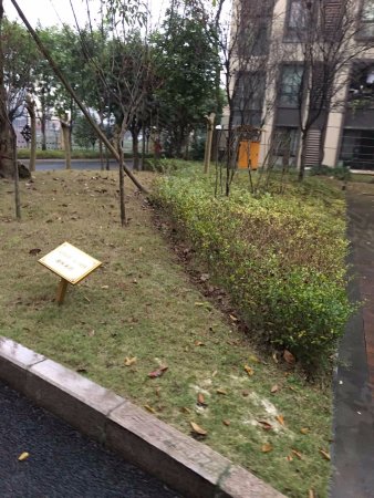 精装电梯三房,离轻轨站仅200米,赠送产权车位