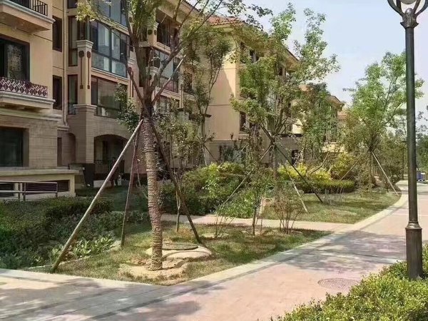 翡翠公园 卓兴路6号 北京翡翠公园二手房 租房 北京安居客