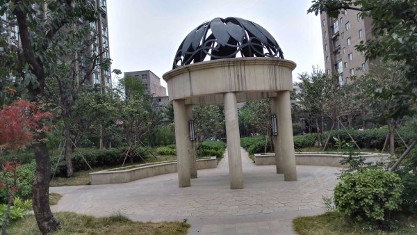 南龙湖 远洋风景大开发商 送精装修 均价8500 地铁口