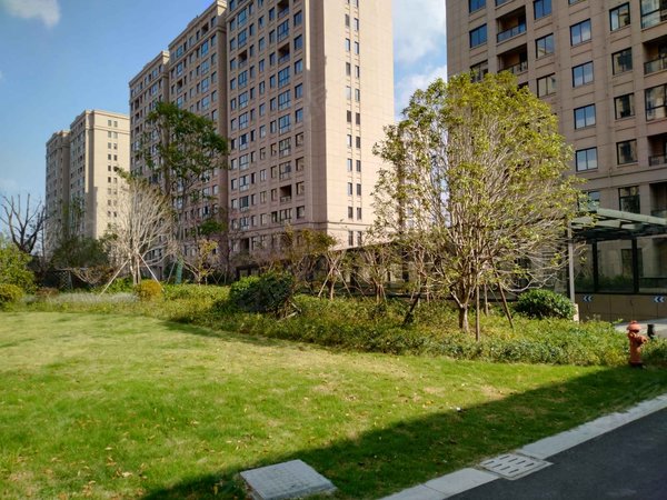 台州小区 路桥小区 新桥小区 宏大熙景园 实景图 1/ 15  