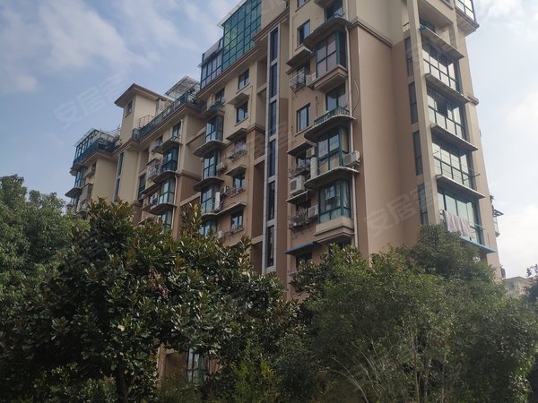 丽水小区 莲都小区 水木清华/欣苑小区 水木清华南苑实景图 1/ 11 &