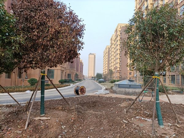 临沂小区 沂水小区 莲旺街小区 龙湾一品