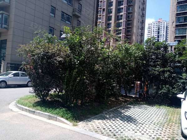 中保华庭