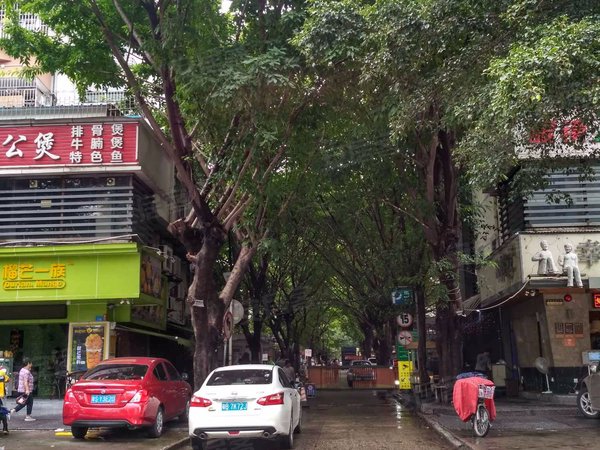 海滨花园(宝安),前进路254号 - 深圳海滨花园(宝安)二手房,租房,房价-