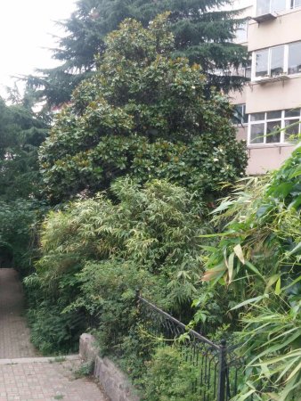 一楼带120大院,房子精装修,实际利用面积接方