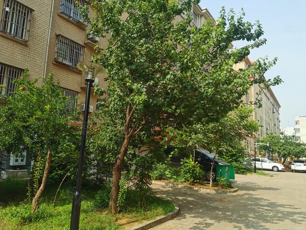 双利组团,康宁路7号-枣庄双利组团二手房,租房-枣庄安居客