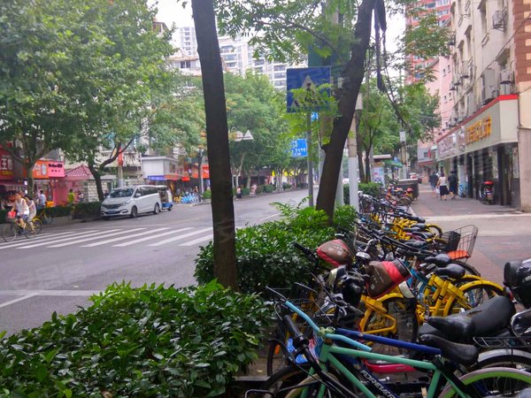 上海小区 徐汇小区 斜土路小区 大木桥路325弄小区 实景图 1/ 5 