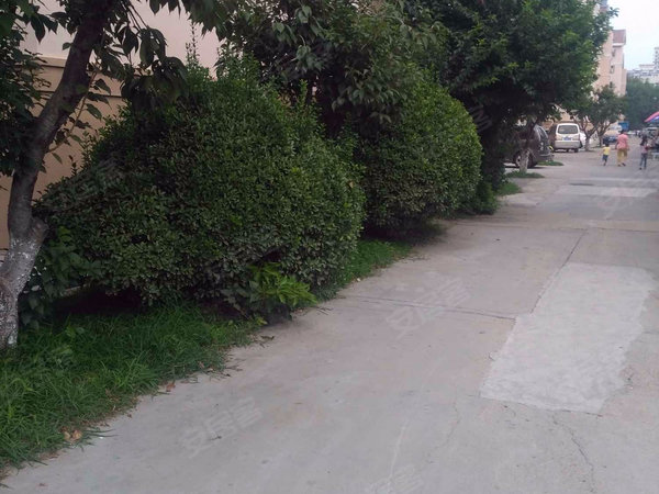 青岛小区 城阳小区 城阳区政府小区 康德居 实景图 1 24&