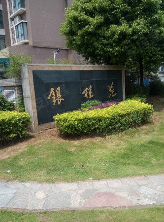 银桂苑 捡漏子 毛坯五房 视野开阔 读湘府英才小学 有钥匙