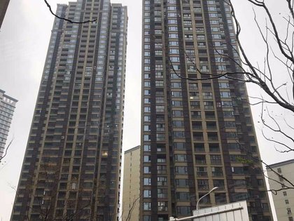 江尚户型图实景图片