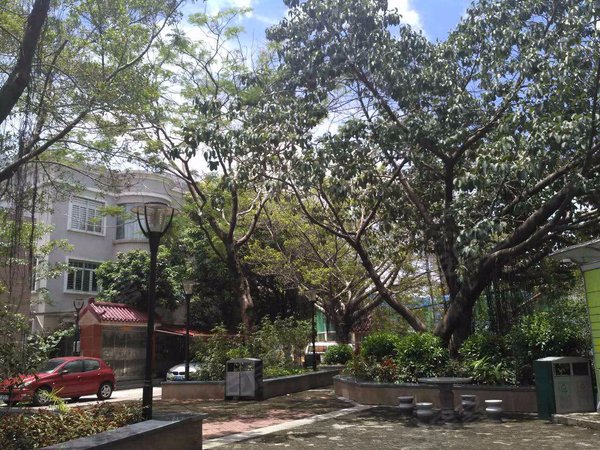 莲花山庄,莲花路130号 - 深圳莲花山庄二手房,租房,房价-深圳安居客