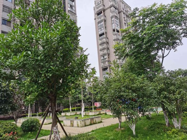 南京小区 溧水小区 溧水区小区 文苑小区实景图 1/ 8  