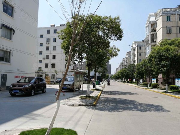 光明新村 射阳城南-太阳城-光明路,近虹亚路